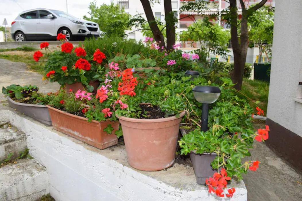 Apartments Marasovic - Roko Σπλιτ Εξωτερικό φωτογραφία